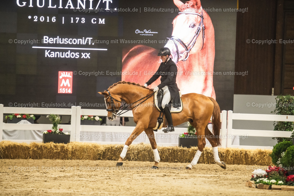 20240302_Hengstvorstellung_Marbach_TOMsPiC_0918-2 | equistock
