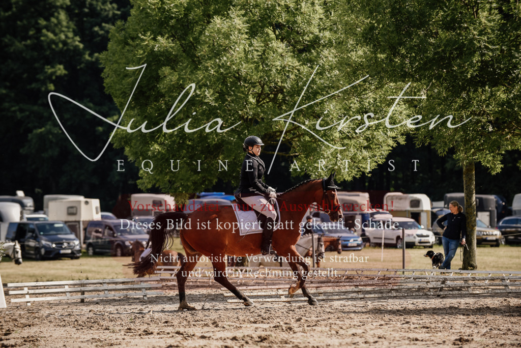 DSC_9043 | Pferde- und Turnierfotografie in Westsachsen. Pferdeportraits, Auftragszeichnungen und intuitive Kunst.