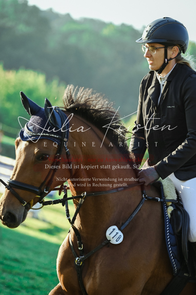 DSC_3886 | Pferde- und Turnierfotografie in Westsachsen. Pferdeportraits, Auftragszeichnungen und intuitive Kunst.