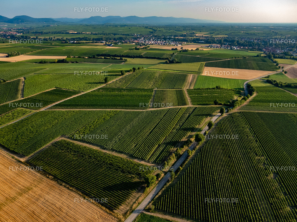 Felder und Weinberge um Billigheim | Luftbild: Felder und Weinberge um Billigheim im Ortsteil Ingenheim in Billigheim-Ingenheim im Bundesland Rheinland-Pfalz in Deutschland. Foto: P7300004.jpg vom 30.07.2022 durch ©2025 Werner Riehm fly-foto.de/copyright - Realisiert mit Pictrs.com