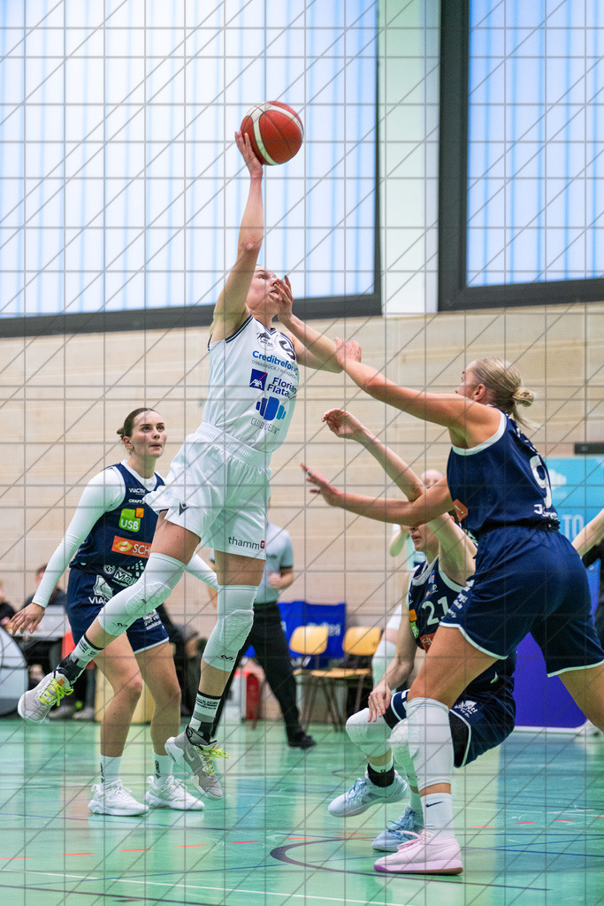 2. DBBL Nord 24/25 | 19.01.2025 | BBC OS vs. VfL VIACTIV-AstroLadies Bochum | 2. DBBL Nord 24/25 | 19.01.2025 | BBC OS vs. VfL VIACTIV-AstroLadies Bochum - - - - - CREDIT, www.bullenfotos.de, Martin König, Hörner Weg 40, D-49078 Osnabrück, +4917663732967, Nutzung und Weitergabe nur zu den vereinbarten Zwecken. Presseanfragen an Urheber. Alle Rechte beim Urheber. - - - - - - Realisiert mit Pictrs.com