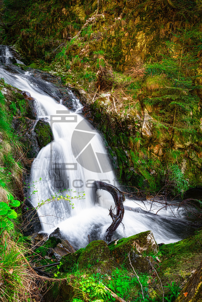 Allerheiligen Wasserfälle | Diese Wasserfälle gehören zu den größten und schönsten im Schwarzwald. Man fühlt sich fast wie im Hochgebirge Österreichs oder der Schweiz. Der 1840 erschlossene Wasserfall fällt über mehrere Ebenen knapp 90 Meter in die Tiefe während Wanderer ihn auf seinem Weg auf Pfaden, Treppen und über Brücken hinweg begleiten können. - Realisiert mit Pictrs.com