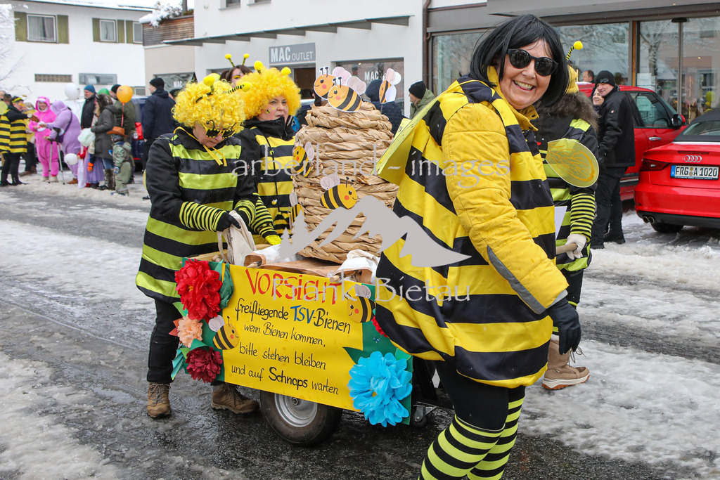 OE7A2984 | fliegende Bienen vom TSV