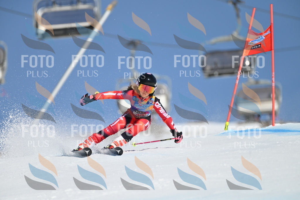 BGV_8405 | holidayphoto