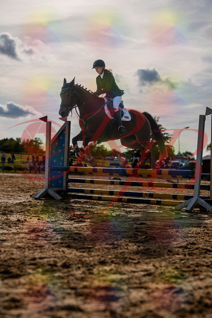 2026_10_03_Siefer-Hof_161019_Z63_12832649 | Professionelle Reitsport-, Turnier- und Eventfotografie von Robert Broda. Galerien mit ausgewählten und bearbeiteten Bildern direkt online ansehen und bestellen.
