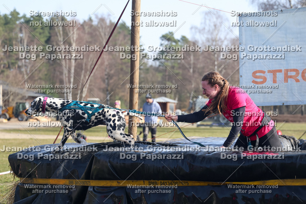 Dog Paparazzi - Strongdog North Mrz26-1479 | Dog Paparazzi Jeanette Grottendiek Fotografie & Videografie - Realisiert mit Pictrs.com