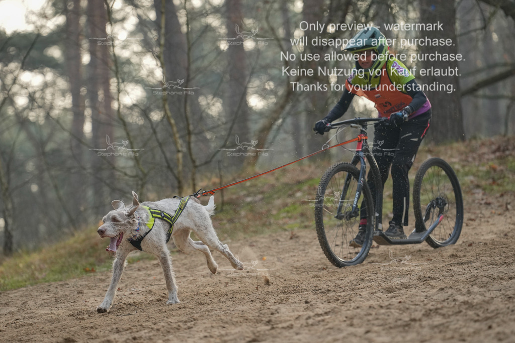 Scooter1-206 | stephaniefillaphotographie - Realisiert mit Pictrs.com