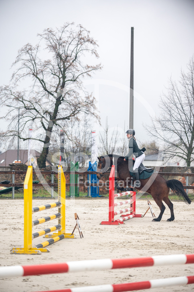 DSC_8386 | sattelsport - Realisiert mit Pictrs.com