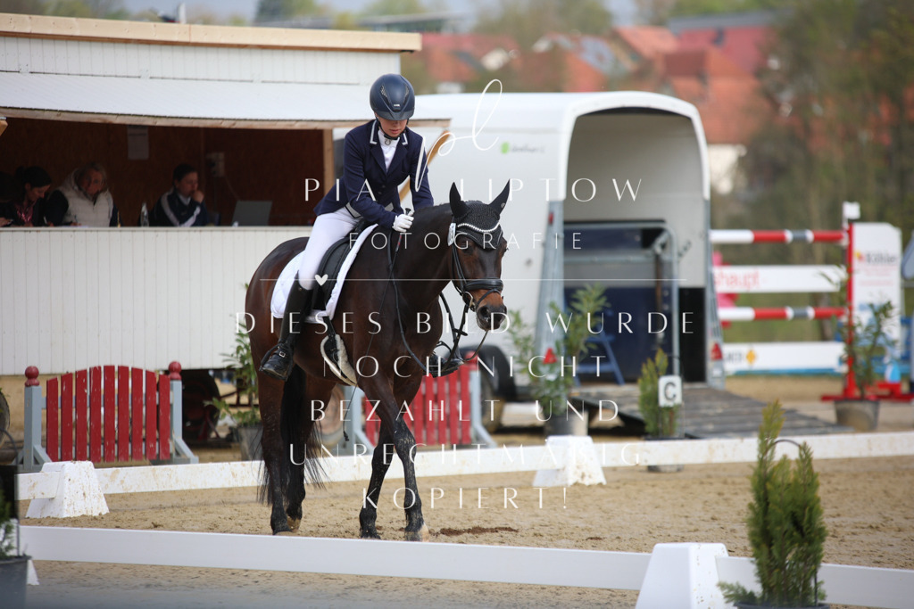 IMGT6138 | pl-fotografie