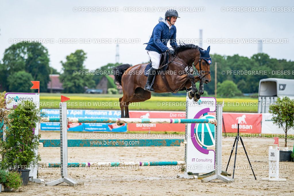 DSC03562 | Pferdegrafie