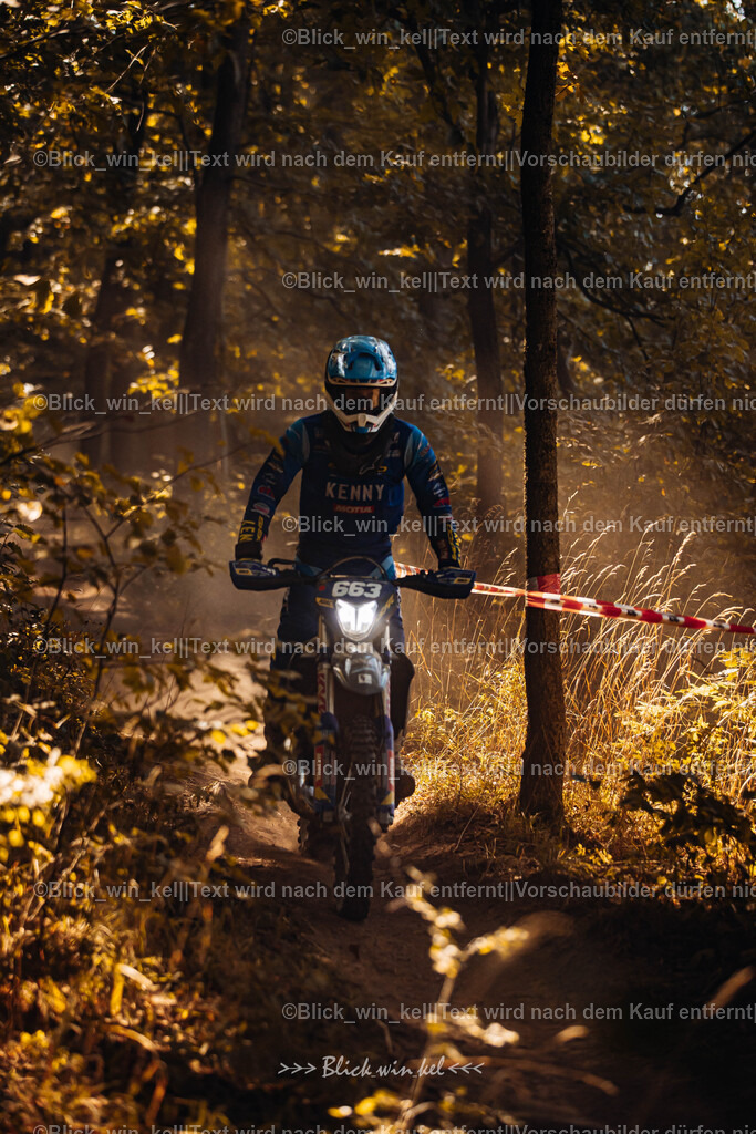 E68A6462 | blick_win_kel