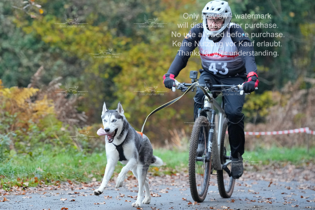 AusschnitteSo-48 | stephaniefillaphotographie - Realisiert mit Pictrs.com