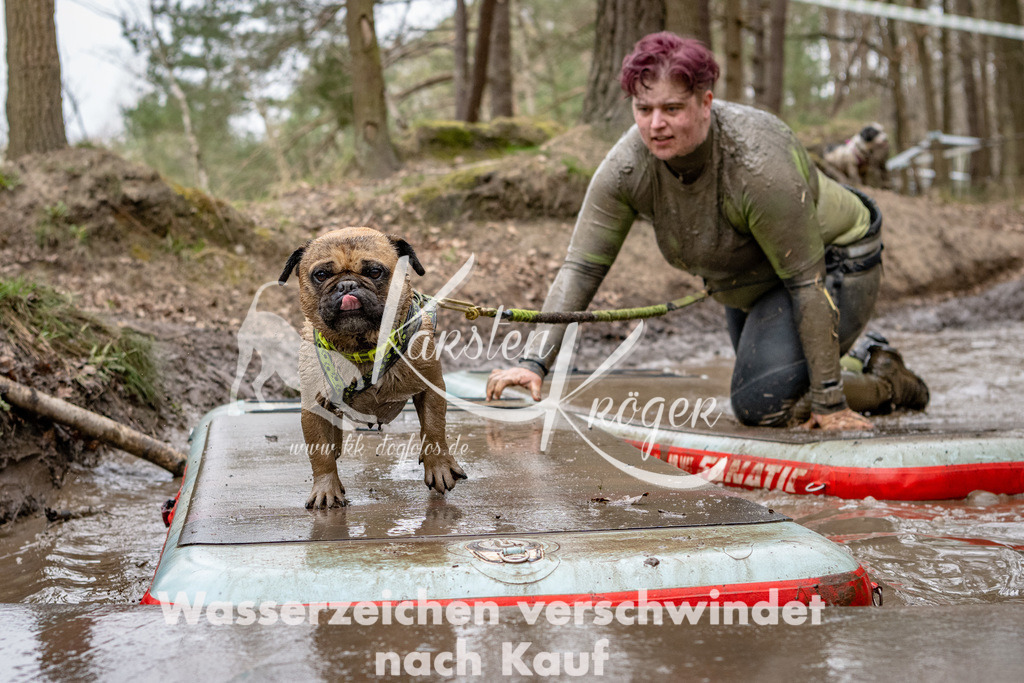 1216DSC_5575 | kk-dogfotos