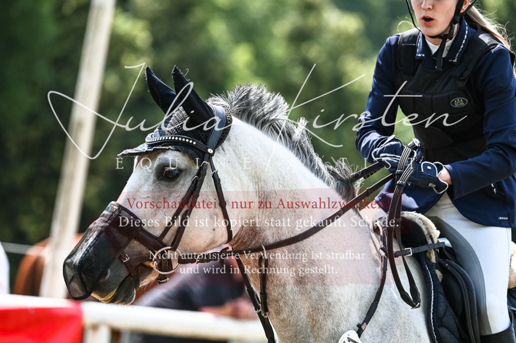 DSC_8826 | Pferde- und Turnierfotografie in Westsachsen. Pferdeportraits, Auftragszeichnungen und intuitive Kunst.