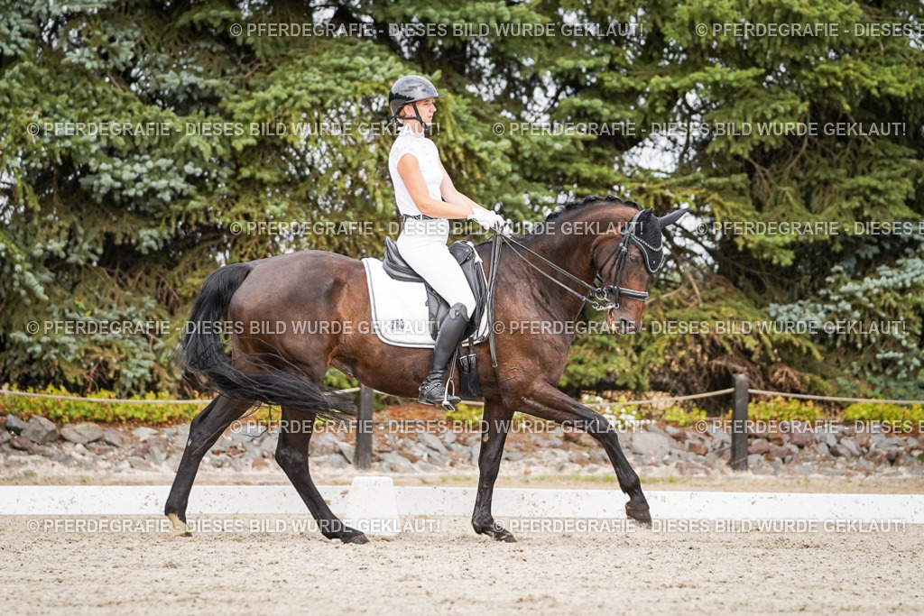 DSC06630 | Pferdegrafie