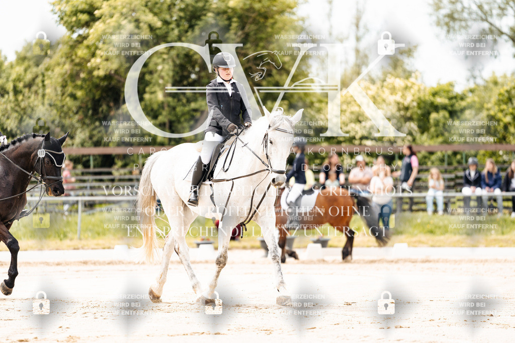 CK902634 | Turnierfotografie Pferdefotografie Trier Rheinland-Pfalz Pferdesport Reitsport Tierfotografie Sportfotografie Pferdevideo Pferdevideografie Equestrianvideography equestrianphotography  - Realisiert mit Pictrs.com