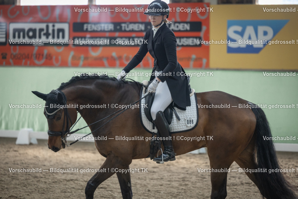 _D5A4865 | Emotionale Pferde- & People-Fotografie rund um Heidelberg, Leimen & Umgebung. Natürliche Fotos von Pferd, Mensch & Familie. Jetzt Termin sichern!