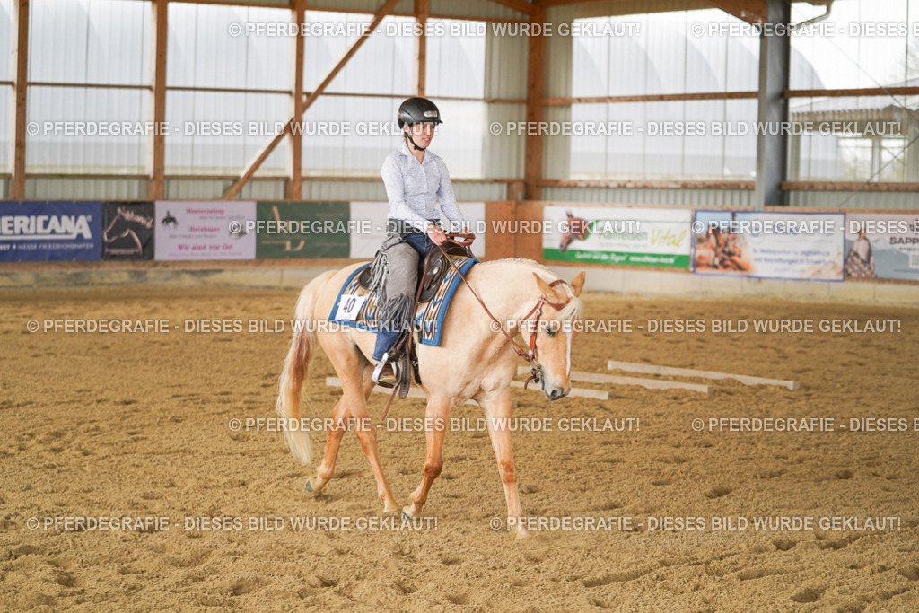 DSC03547 | Pferdegrafie