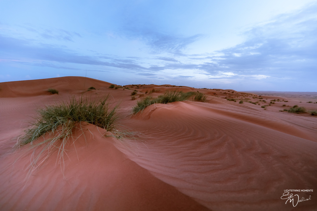 Al Salam Desert Camp, Al Qabil, Bidiyya, Oman | Herzlich willkommen auf meiner Seite! Ich bin Elke Wallnisch, Deine Fotografin für lichtstarke Momente. Der Name steht für alles, was mich mit der Fotografie verbindet: Das Licht und seine machtvolle Wirkung auf eine Situation oder unsere Stimmung - Realisiert mit Pictrs.com