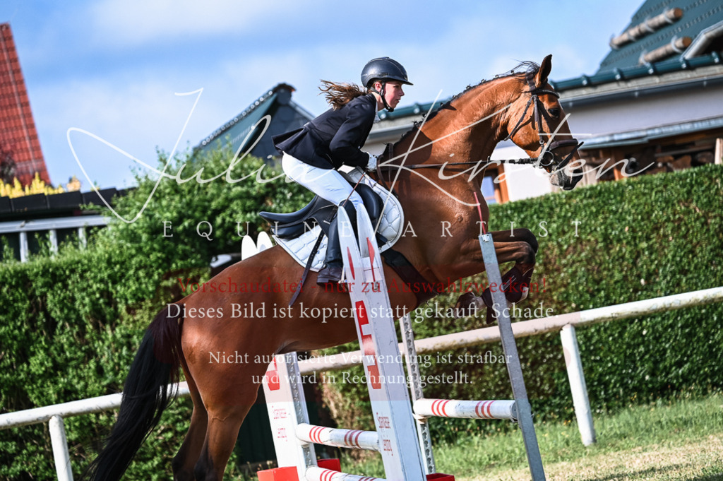 DSC_7704 | Pferde- und Turnierfotografie in Westsachsen. Pferdeportraits, Auftragszeichnungen und intuitive Kunst.