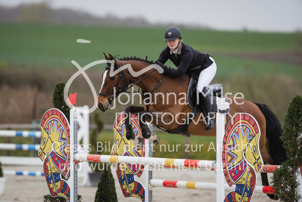 240330_Fruehlingsfest_Stil-M-1016 | Deine schönsten Turniermomente als professionelle Fotos! Entdecke hochwertige Pferdesport-Fotografie im Online-Shop. Jetzt Fotos finden & bestellen!