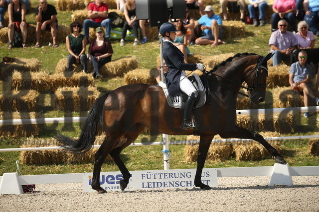 Birkhof_2022_GrandPrixSpecial_Anna Casper_Donna Clara 60 (5) | Alle Fotos der Reiterjournal Fotografin Doris Matthaes im Reiterjournal Online-Fotoshop. - Realisiert mit Pictrs.com