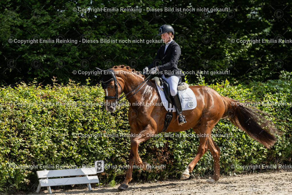 CL5A7438 | Emilia Reinking Fotografie - Realisiert mit Pictrs.com