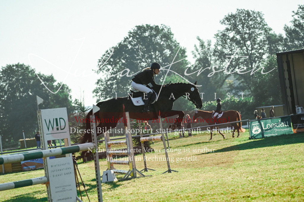 DSC_4209 | Pferde- und Turnierfotografie in Westsachsen. Pferdeportraits, Auftragszeichnungen und intuitive Kunst.