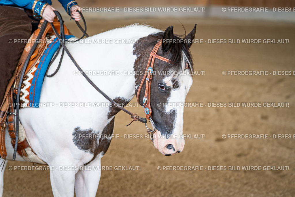 DSC07949 | Pferdegrafie