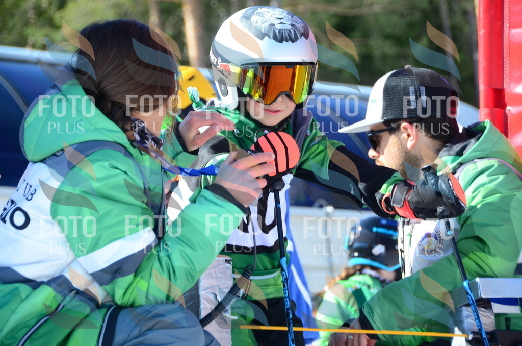 C5347 | holidayphoto