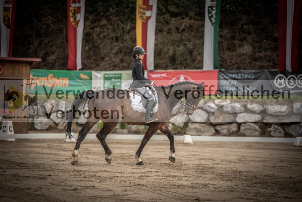 DSC_8305 | equestrian-live-com