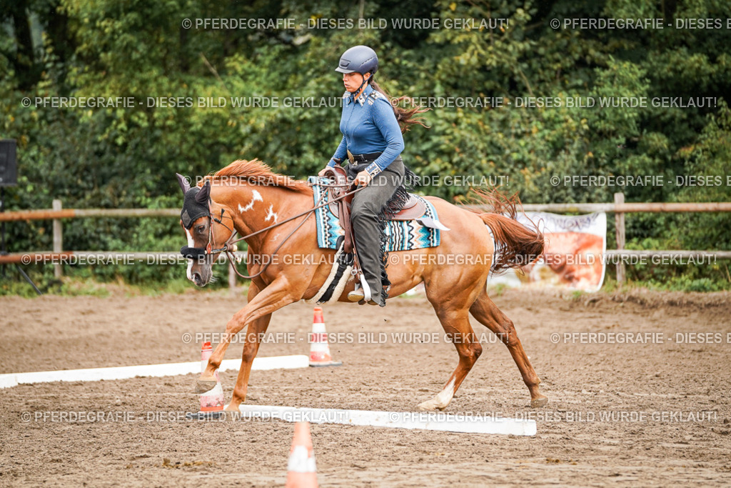 DSC04421 | Pferdegrafie