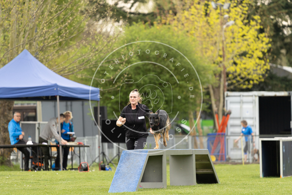Pfotenfotografie_DV3A8946 | Hundefotografie, Tierfotograf, Pfotenfotografie, Fotoshooting Hund, Hunde Portrait, Hundesport, Hundeportraits, Heideshooting, Hunde, Sportfotograf, Hundefotograf, Turnierhundsport, THS,  - Realisiert mit Pictrs.com