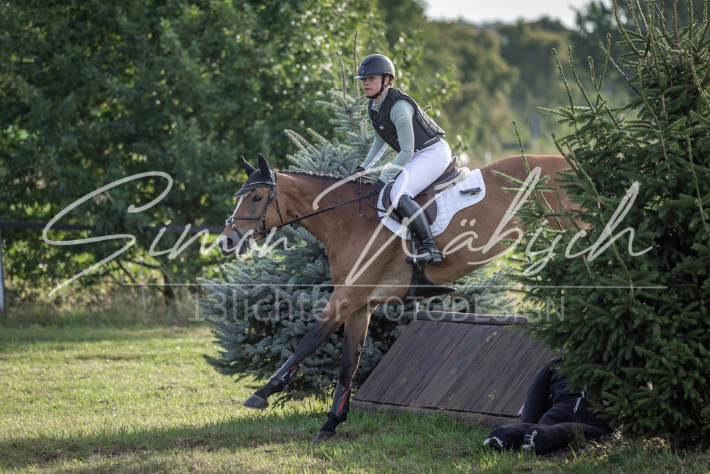 20250907-_3LI8530 | Tierfotografie Pferde, Hunde, Katzen, Haustiere.
Turnierfotografie Reitturniere, Reiten, Springreiten, Dressur in Hanau, dem Main-Kinzig-Kreis und dem Rhein-Main- Gebiet um Frankfurt