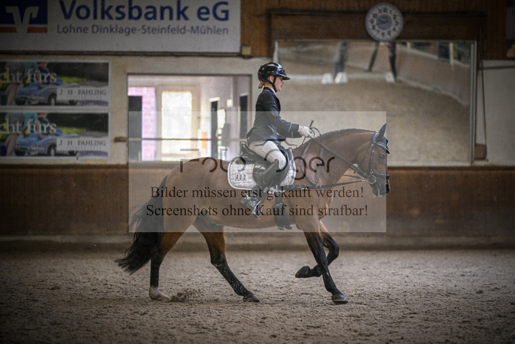 DOS_0133 | Entdecke hochwertige Reitturnierfotos von Foto Oger. Professionell, emotional und authentisch – jetzt Lieblingsmomente im Shop bestellen.Deutschlandweite Turnierfotografie. - Realisiert mit Pictrs.com