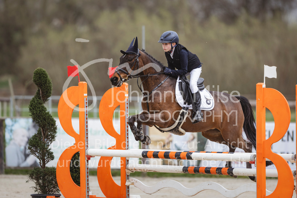 240330_Fruehlingsfest_Stil-A2-1-617 | Deine schönsten Turniermomente als professionelle Fotos! Entdecke hochwertige Pferdesport-Fotografie im Online-Shop. Jetzt Fotos finden & bestellen!