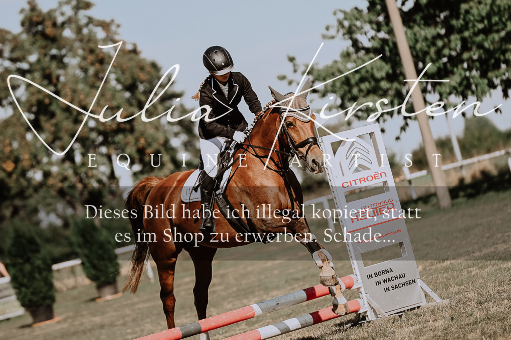 DSC_9367 | Pferde- und Turnierfotografie in Westsachsen. Pferdeportraits, Auftragszeichnungen und intuitive Kunst.