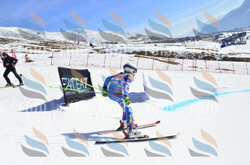 _ELE9780 | holidayphoto