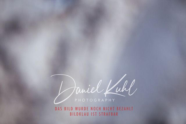 IMG_3041 | Turniersportfotografie; Pferdefotografie; Dressurfotografie