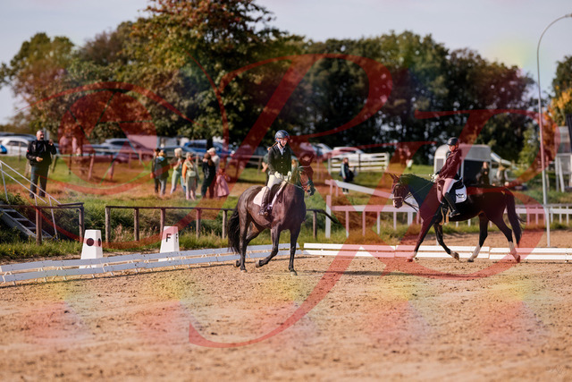 2026_10_03_Siefer-Hof_121402_Z81_15043645 | Professionelle Reitsport-, Turnier- und Eventfotografie von Robert Broda. Galerien mit ausgewählten und bearbeiteten Bildern direkt online ansehen und bestellen.