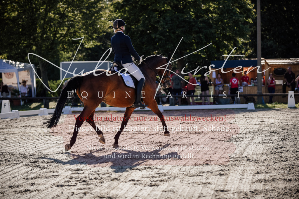 DSC_0397 | Pferde- und Turnierfotografie in Westsachsen. Pferdeportraits, Auftragszeichnungen und intuitive Kunst.