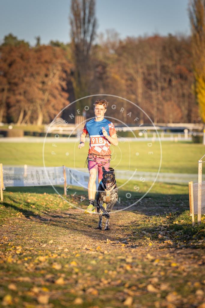CaniXpix_DV3A4876 | Hundefotografie, Tierfotograf, Pfotenfotografie, Fotoshooting Hund, Hunde Portrait, Hundesport, Hundeportraits, Heideshooting, Hunde, Sportfotograf, Hundefotograf, Turnierhundsport, THS,  - Realisiert mit Pictrs.com