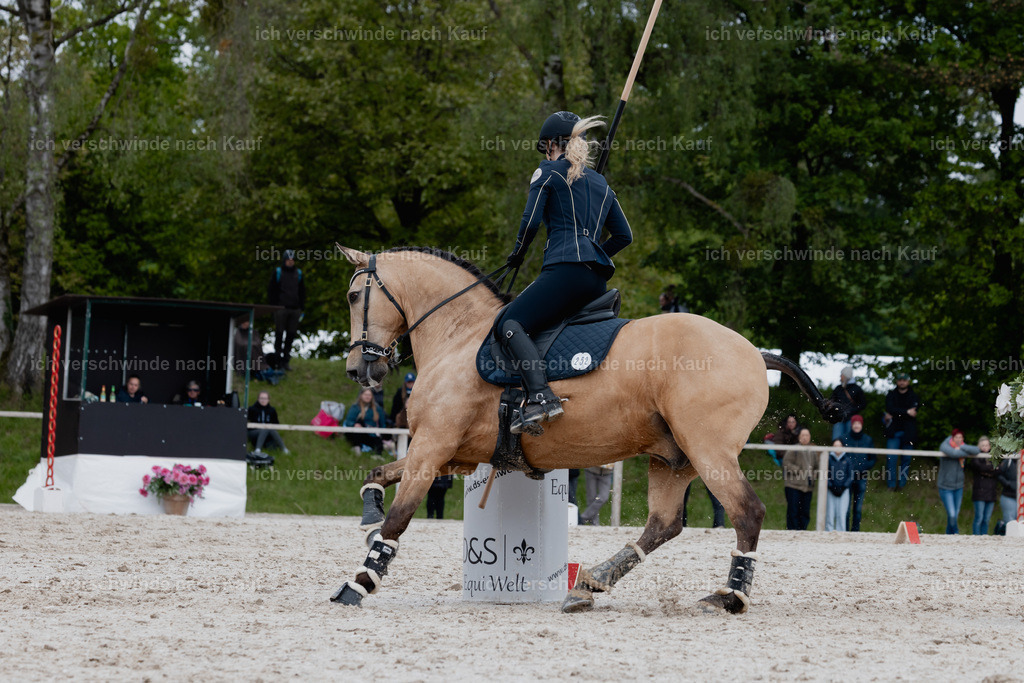 PI26_SP_StoibphotographyC2_C0672.jpg | working equitationturnier fotograf videograf stoibphotography marixx film working equitation deutschland reitsport turnierfotografie eventfotografie equestrian events