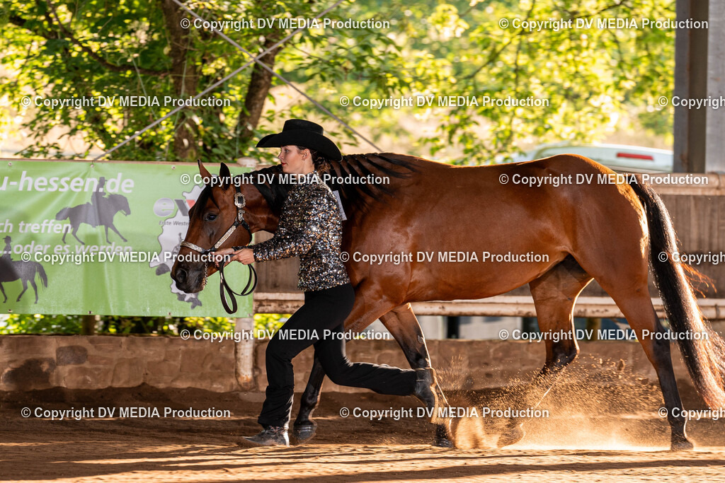 Erbach Tag 3-70 | dv-media-shop - Realisiert mit Pictrs.com