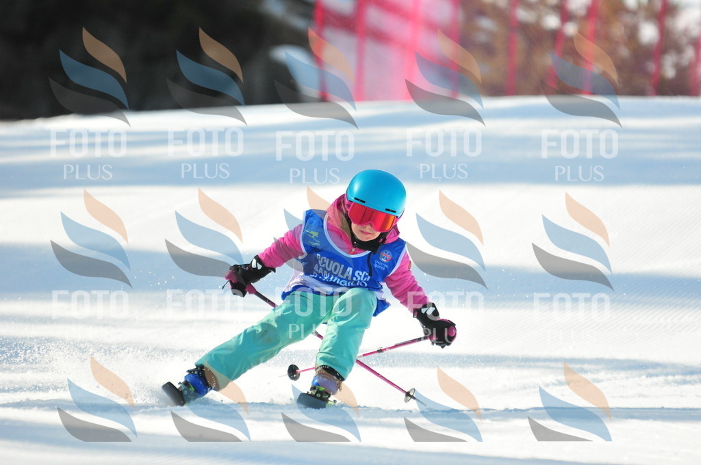 B8912 | holidayphoto