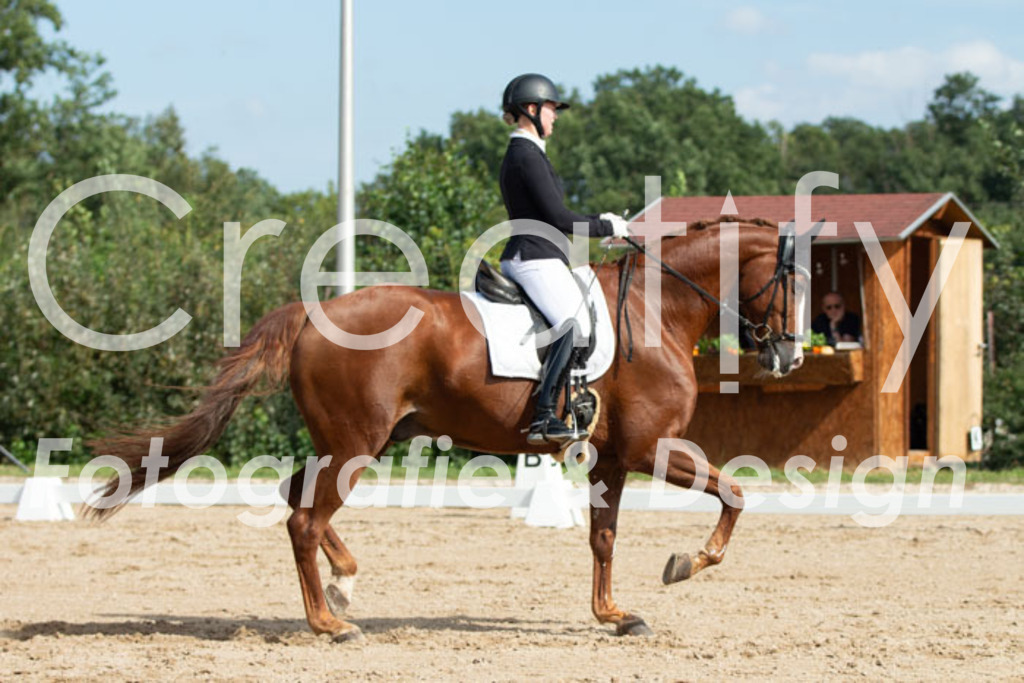 IMG_3042 | Creatify Fotografie