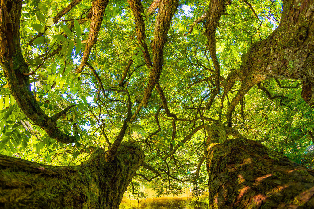 haslach_ww_1209-16 | <div id="allefotografen-seal-verified-green"></div><script src="https://www.allefotografen.de/956728/seal-verified-green/seal.js" async="async"></script> - Realisiert mit Pictrs.com