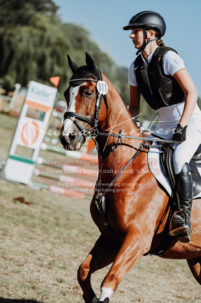 DSC_9937 | Pferde- und Turnierfotografie in Westsachsen. Pferdeportraits, Auftragszeichnungen und intuitive Kunst.