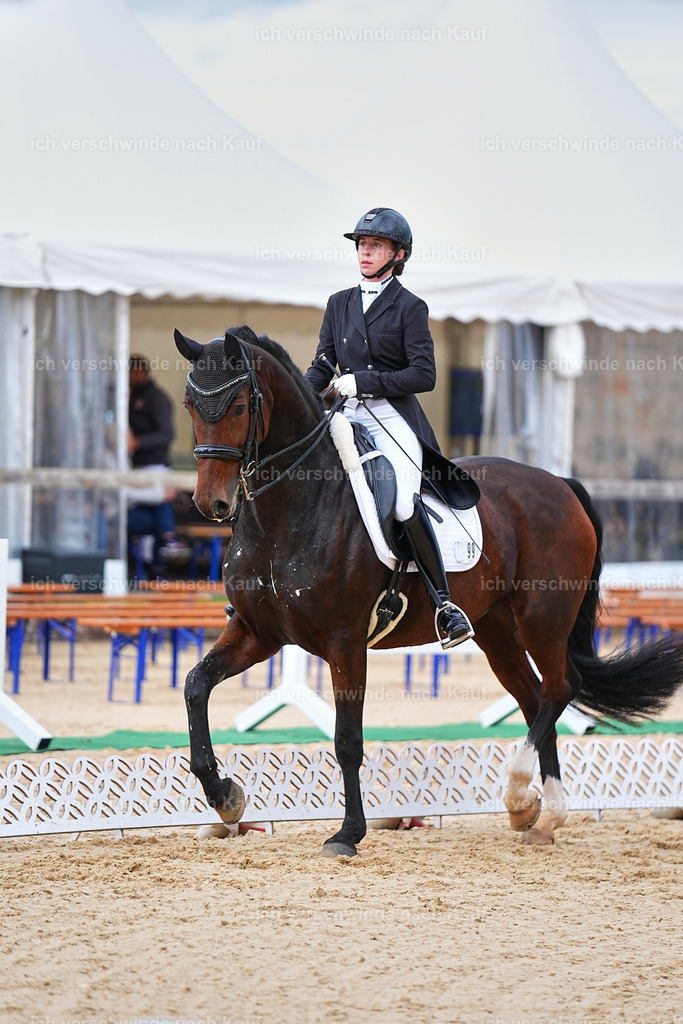 8_1-099-Klasse S_  -Marixx-4164 | working equitationturnier fotograf videograf stoibphotography marixx film working equitation deutschland reitsport turnierfotografie eventfotografie equestrian events
