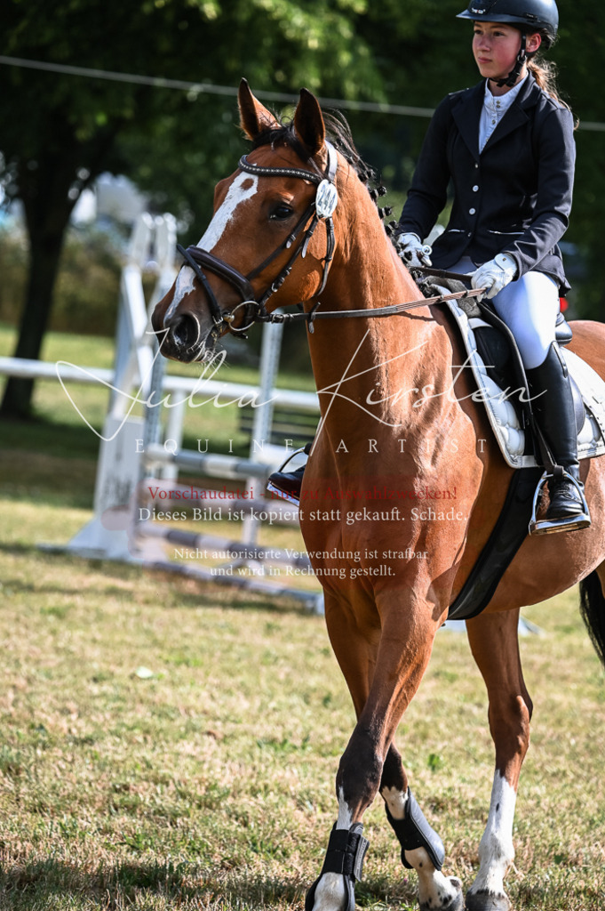 DSC_7684 | Pferde- und Turnierfotografie in Westsachsen. Pferdeportraits, Auftragszeichnungen und intuitive Kunst.
